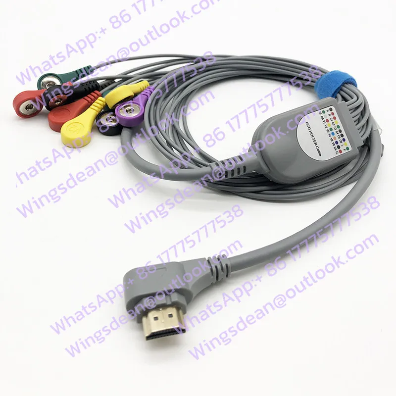 

Dynamic ECG Lead Wire, Recorder Box 24H Lead Wire 10 Lead Buttons