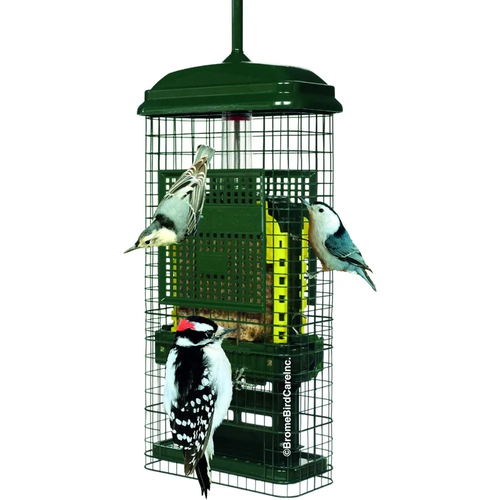 

Squirrel Proof Suet Bird Feeder Two Suet Cake Trays Crumb Ports Mess Free Loading Durable Green Design for Clinging