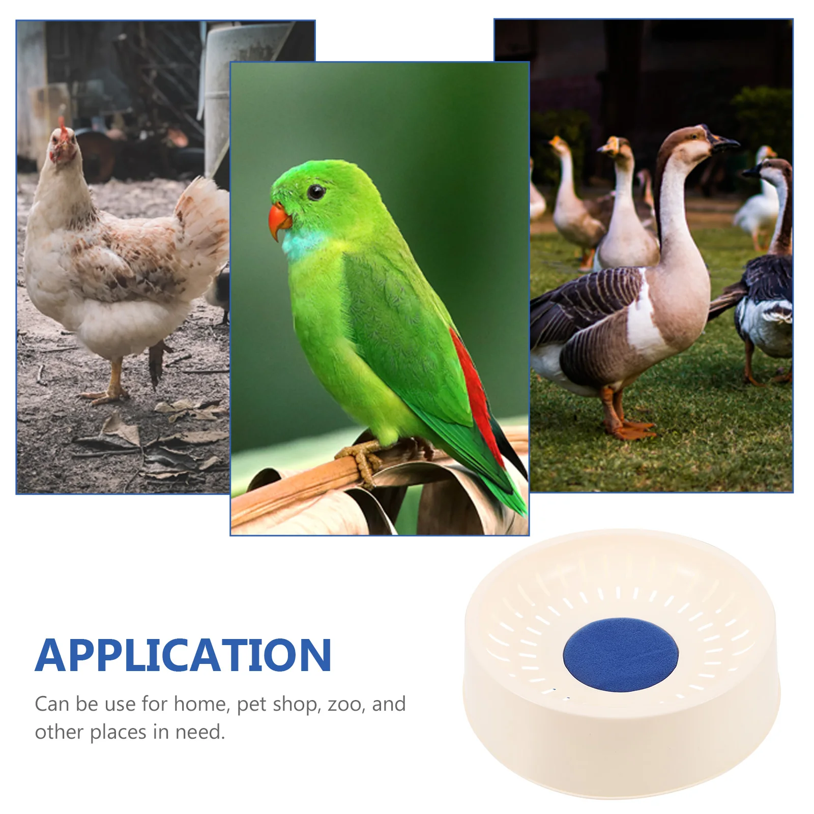 

2 Pcs Pigeon Egg Nest Where Bird Nests Woven Nesting Material Holder for Cage Pet Chicken Coop
