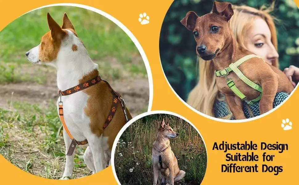 Reflektierender Sicherheitshalsband-Clip für Hunde – robuste Leinebefestigung aus Polyamid mit 360° ° Drehbar, längenverstellbar, vertikaler Druck – Detail 7