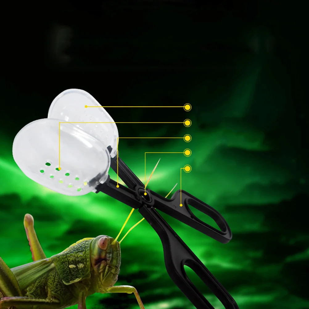 

2Pcs Feeding Cleaning Clip Transparent ABS Material Reptile Lizard Terrarium Scissors Handle Tool Lightweight Durable