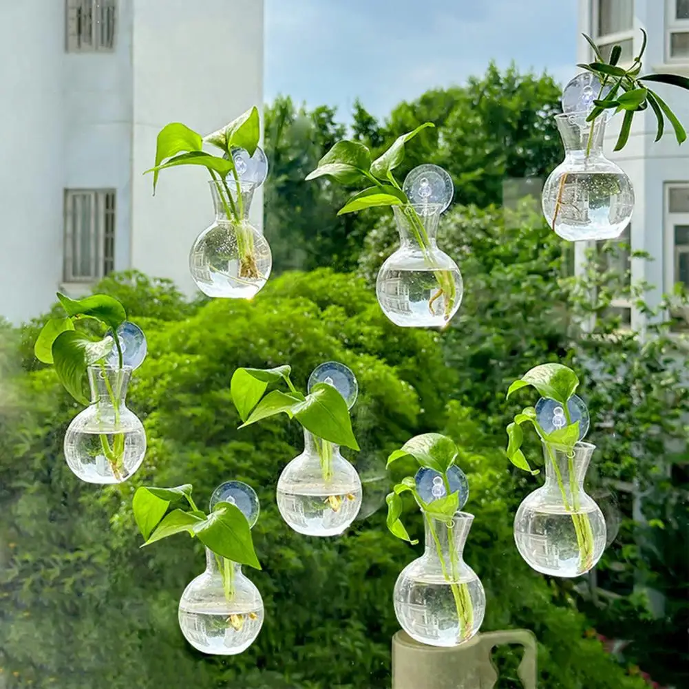 1/2/3/4/6/8Pcs Plant Propagation Bulb with Suction Cup Transparent Propagation Planter Terrarium Vase Window Propagation Station