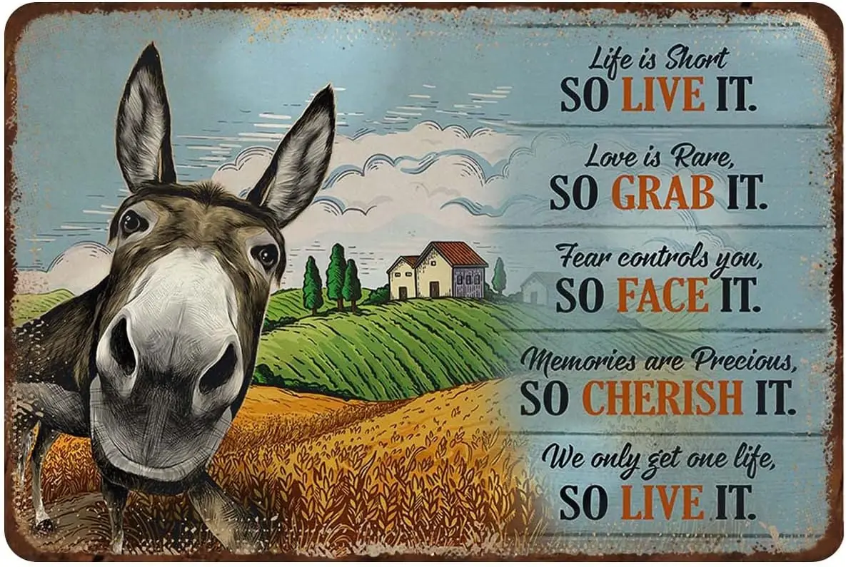 Mocozim Rustic Retro Metal Tin Sign Donkey Life is Short So Live It Love is Rare So Grab It Vintage Metal Tin Sign Wall Art Wall