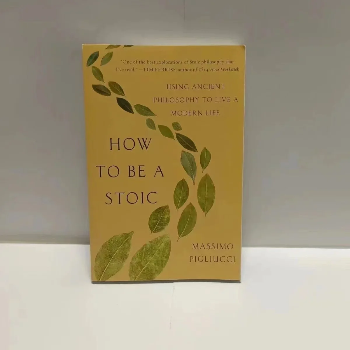 How to Be a Stoic Paperback Book in English Libros