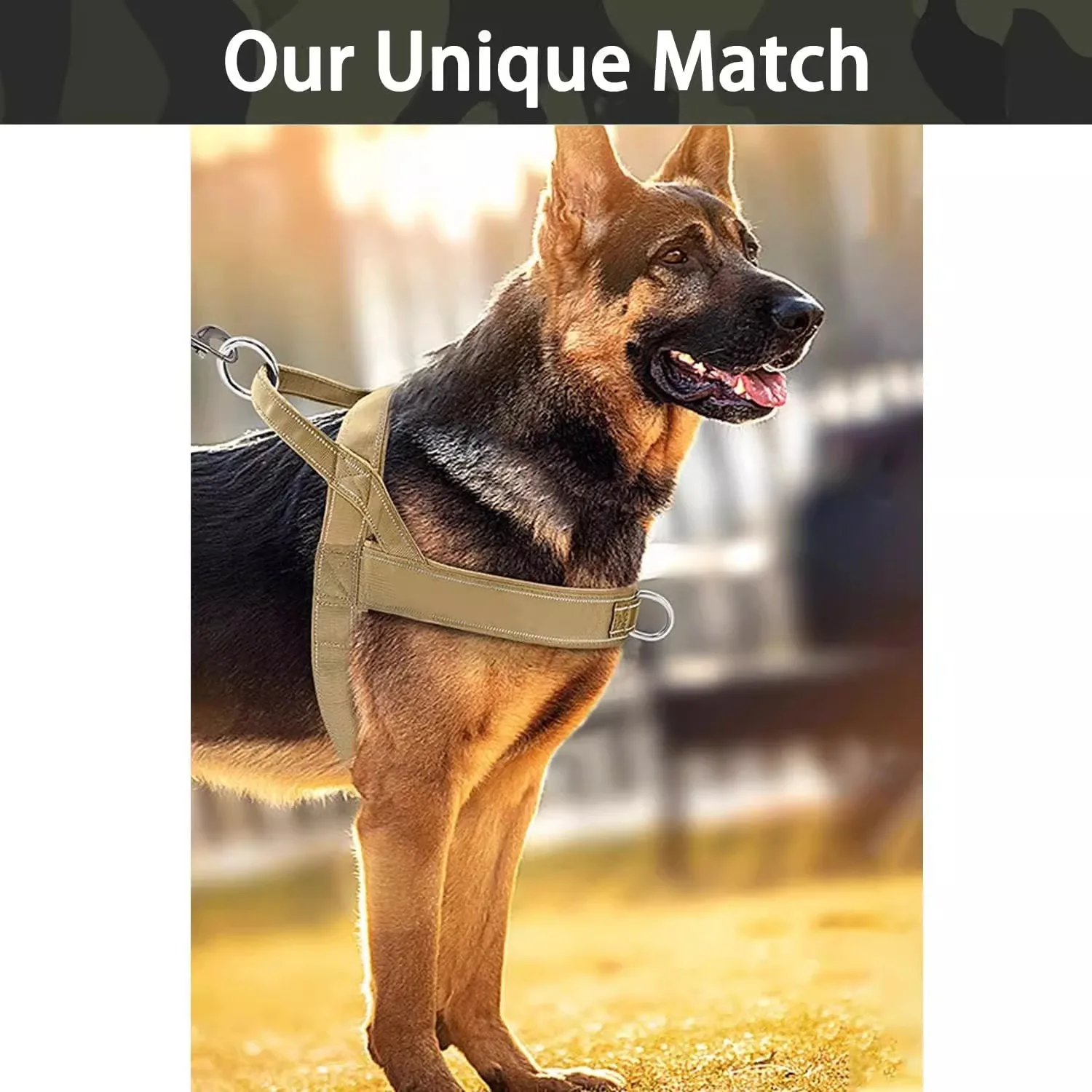 Dog Tactical Vest Nylon Outdoor Water-Repellent Dog Clothing Large and Medium-sized Dog Training Vest Harness Traction - view 5