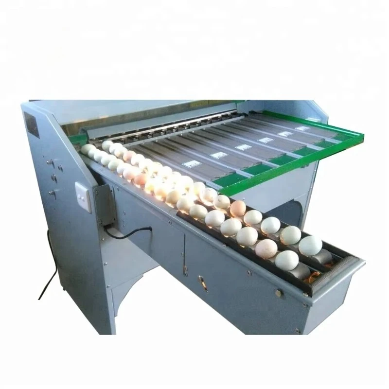 Customized Grading Standards Chicken Egg Weight Size Sorter Classify Automatic Small Scale Grader Sort Egg Grade Machine