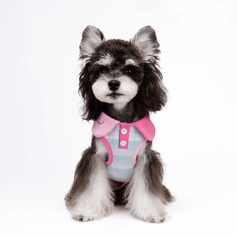 

Жилет для собак, рубашка для кошек, чихуахуа, йоркширских терьеров, одежда для померанского шпица Ши-тцу, мальтийский шнауцер, бишон, пудель, одежда для собак, пальто