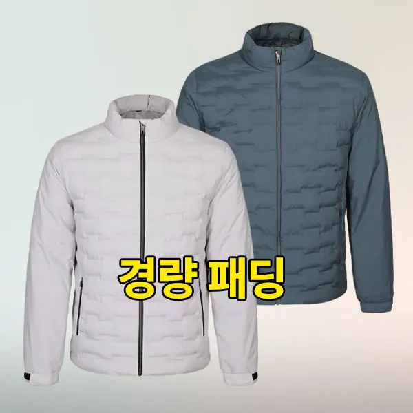 [최저가]베스트원 남성 웰론 경량 패딩 집업 자켓(M4WJ14)