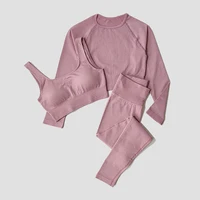 Women's Sportswear Yoga Set Workout Clothes Athletic Wear Sports Gym Legging Seamless Fitness Bra Crop Top Long Sleeve Yoga Suit - Image 3