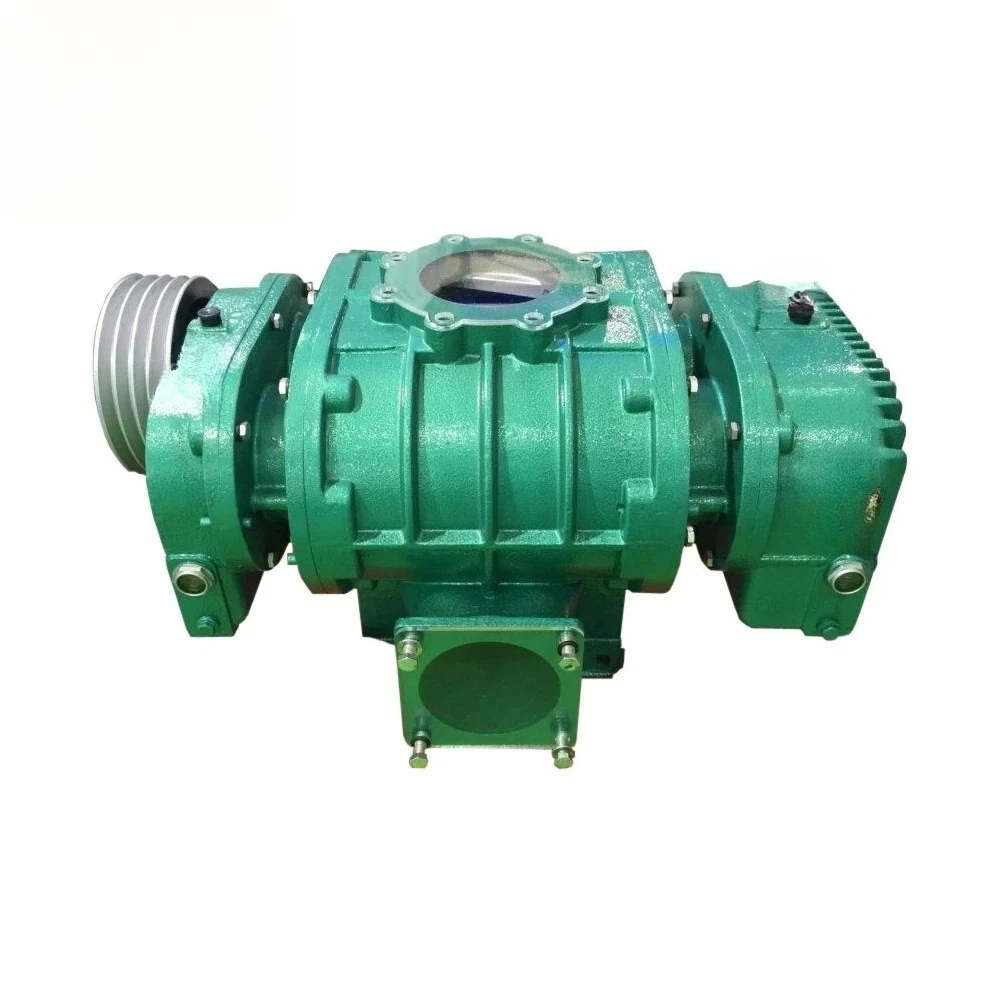 Energy Saving Efficient Roots Vacuum Pump High Vacuum Industrial Equipment from China