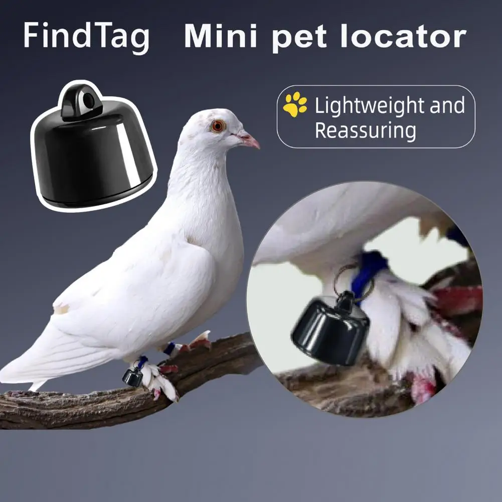 

2025 Smart Pet Tracker Location Tracking Collar Real-Time Global Positioning Mode Battery Anti-loss Mini Dog Tracker Pet Locator