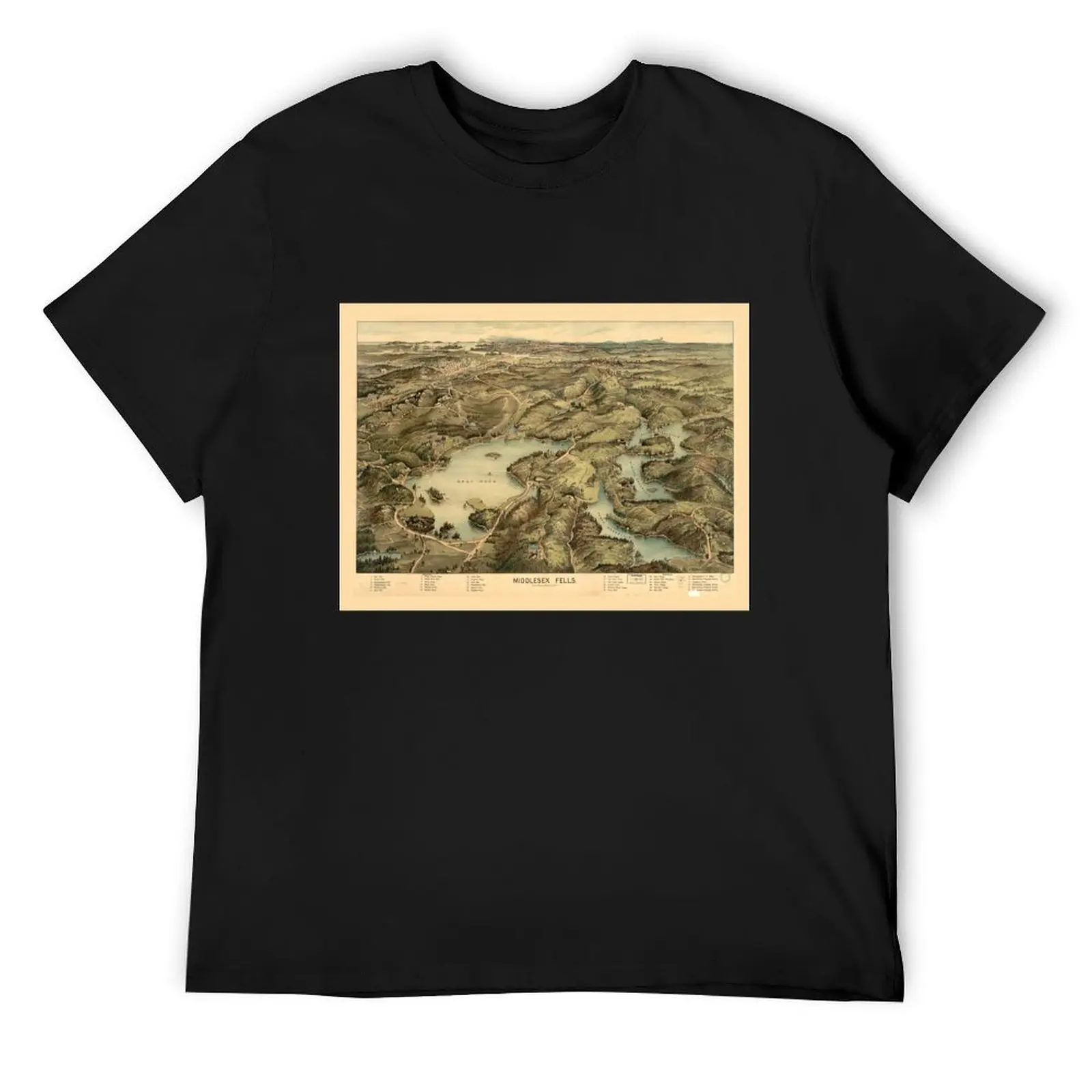 Aerial View of Middlesex Fells, Massachusetts (1903) T-Shirt cute tops anime figures anime clothes for a boy Men's clothing