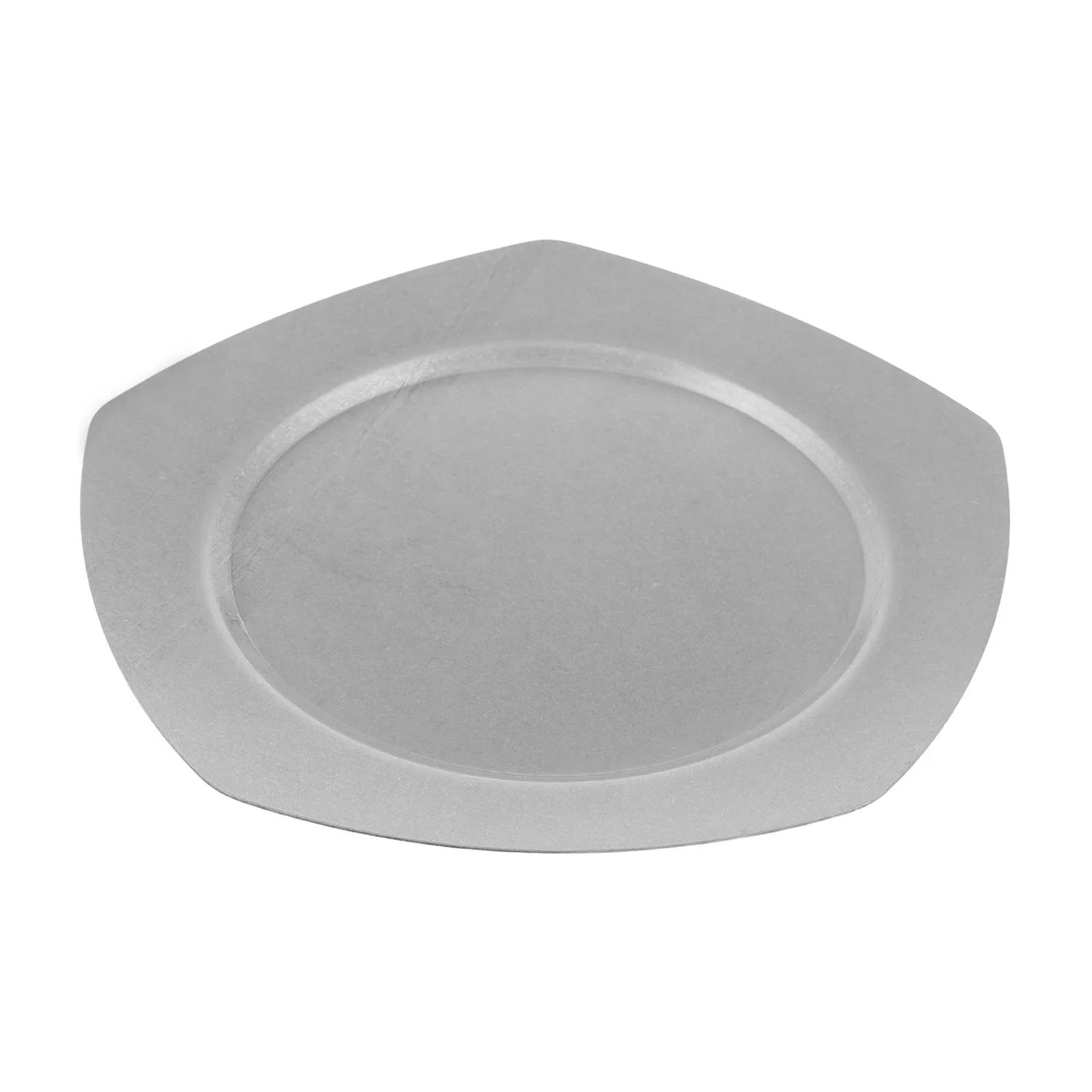 

Retro Stainless Steel Plates for Pasta BBQ Desserts Generous Capacity Metal Dinner Sashimi Snack Serving