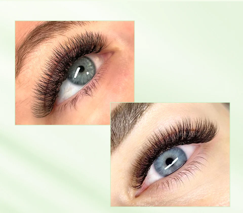 Lash professor automatische blühende Blüte 3d 4d 5d w Form Wimpern netz Netz Kreuz vorgefertigte Fans hand gewebte yy Wimpern verlängerungen cila – Detail 19