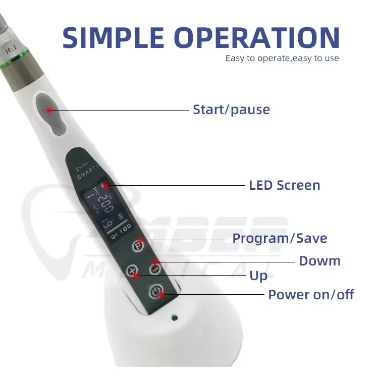 Motor endodóntico inalámbrico 2 LED, limas rotativas, Endo Motor para tratamiento Dental, producto Dental