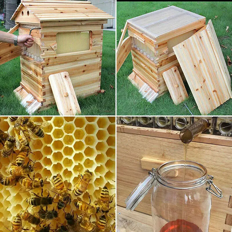 Automatic Wooden Bee Box Bee Honey Collection Beekeeping Equipment Wooden Bee House Bee Nest Supply Beekeeping Tools 66*43*26cm