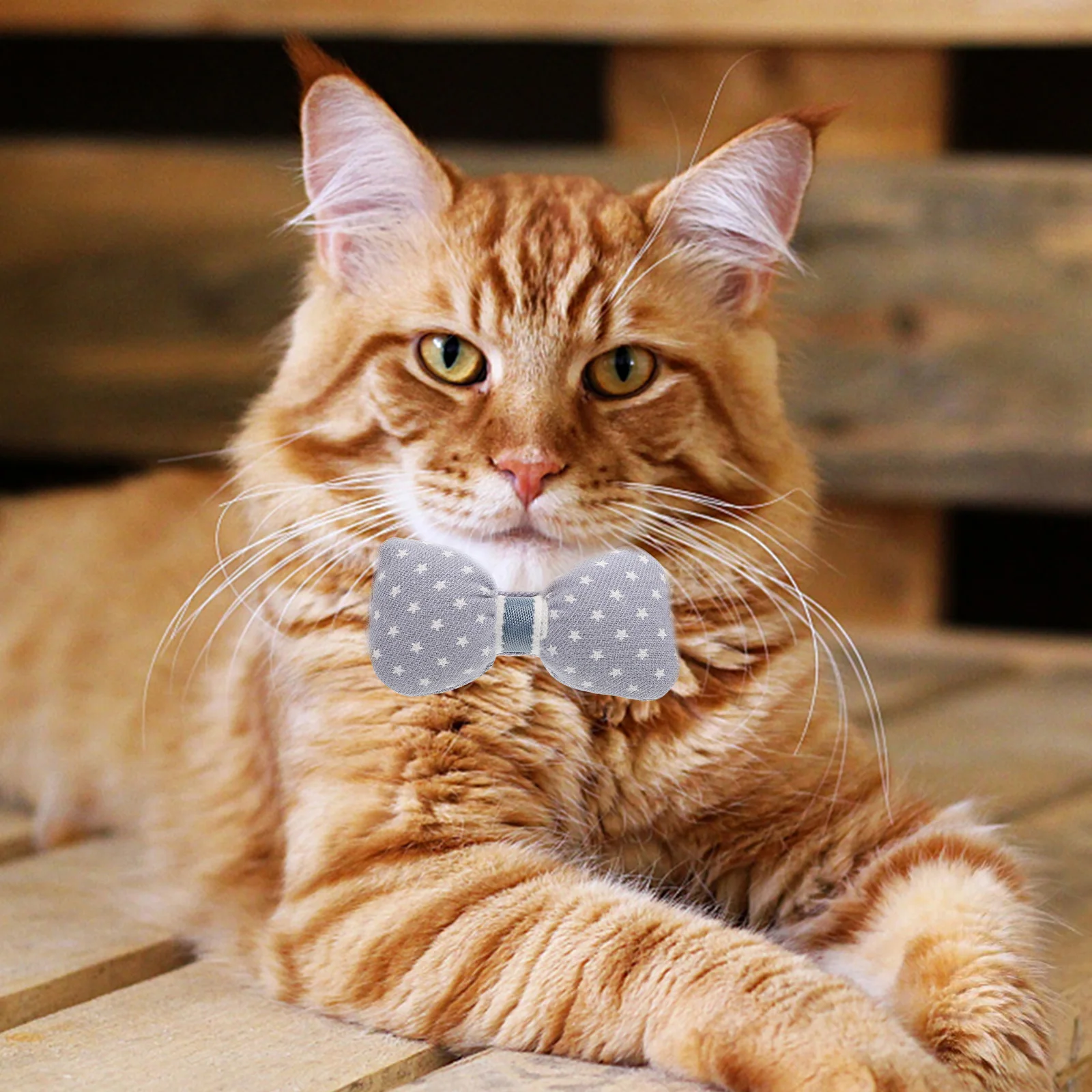 

2Pcs Cat Collar Bells Bowknot Adjustable Neckchain Small Pets Girl Cats Pet Supply nament Necklace Durable Safe Easy Pet