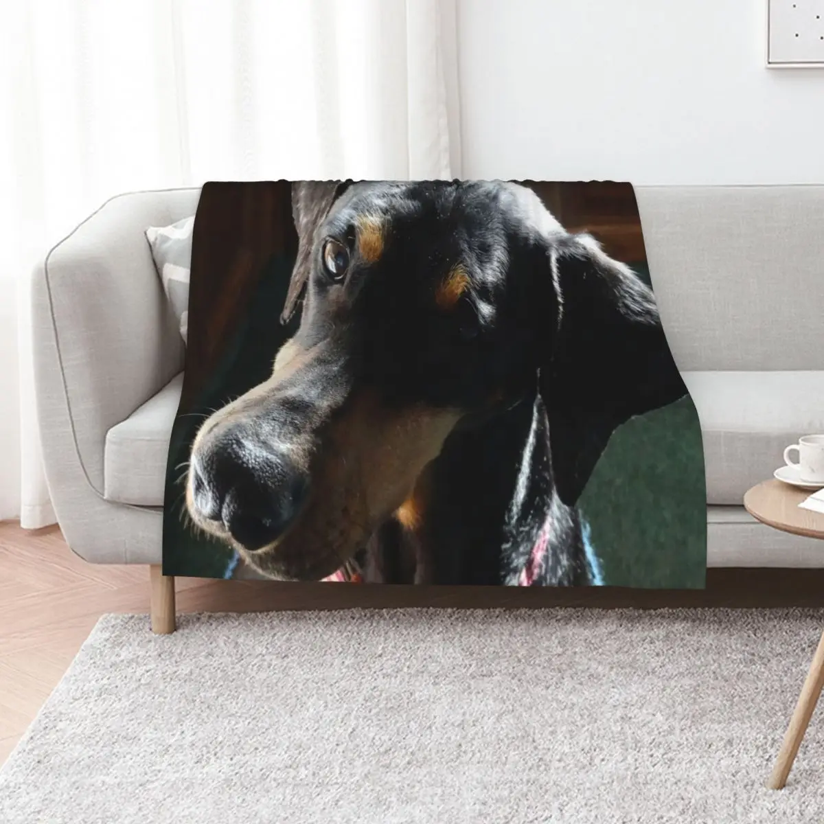 Doberman Tilt Throw Blanket christmas gifts Luxury Luxury Throw Moving Retros Kid'S Blankets