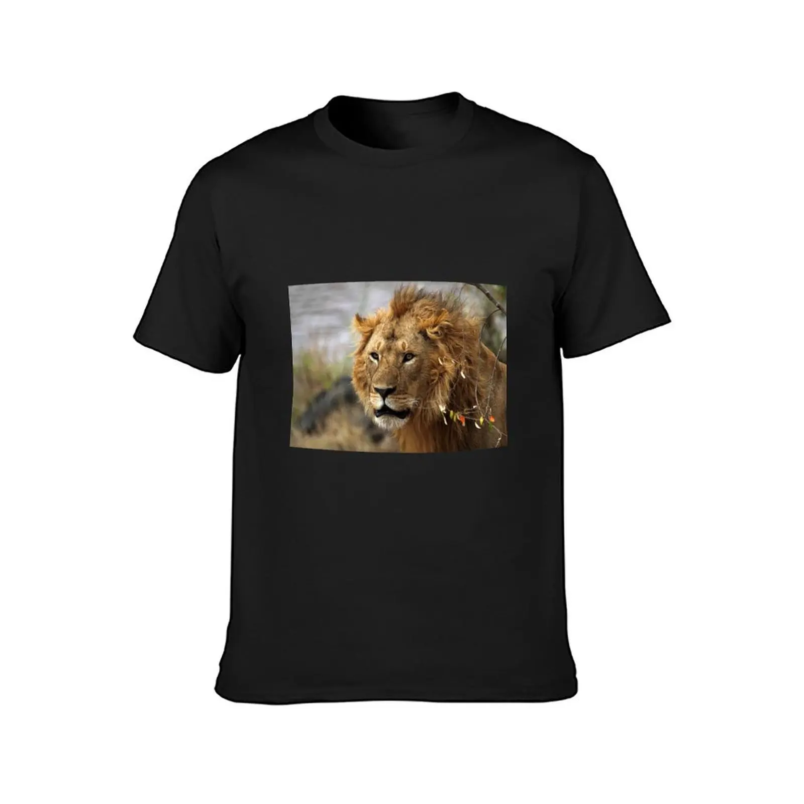 Cat: Large Male Lion Looking Intently as He Comes Out of the Bush, Maasai Mara, Kenya T-Shirt plain mens cotton t shirts