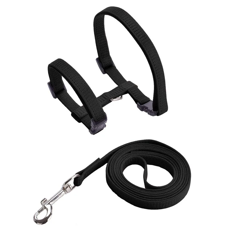 Einstellbare Haustier Katze Halsband Für Katzen Gemütliche Nylon Kaninchen Kätzchen Kedi Harness Leine Set Hund Katze Zubehör Produkte Für Haustiere