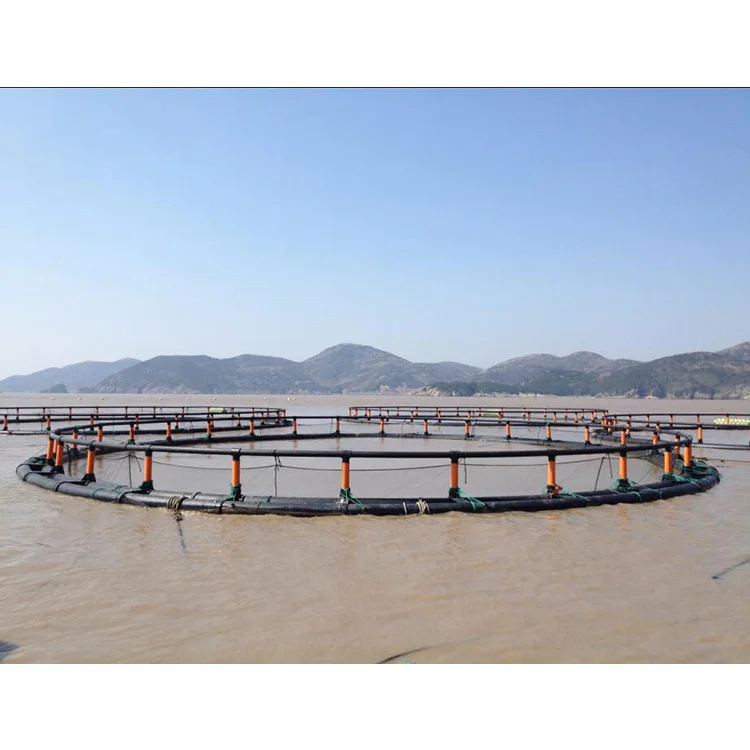 New Arrival HDPE Net Cage Floating for High Production Fish Farm  Fish Trap Cage