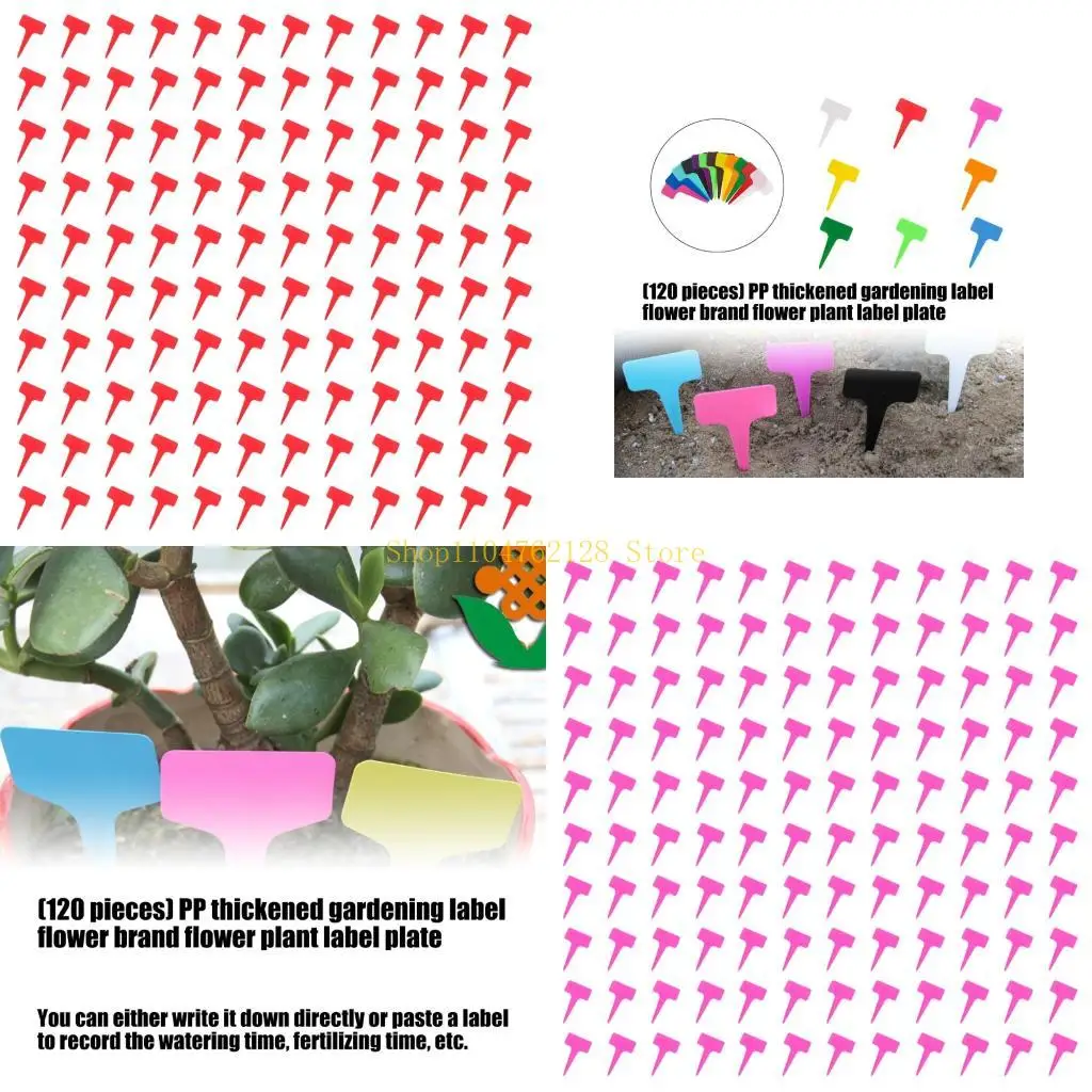 120Pcs Plant T-type Labels Markers Nursery Garden Labels Seedling Tray Pots best sale