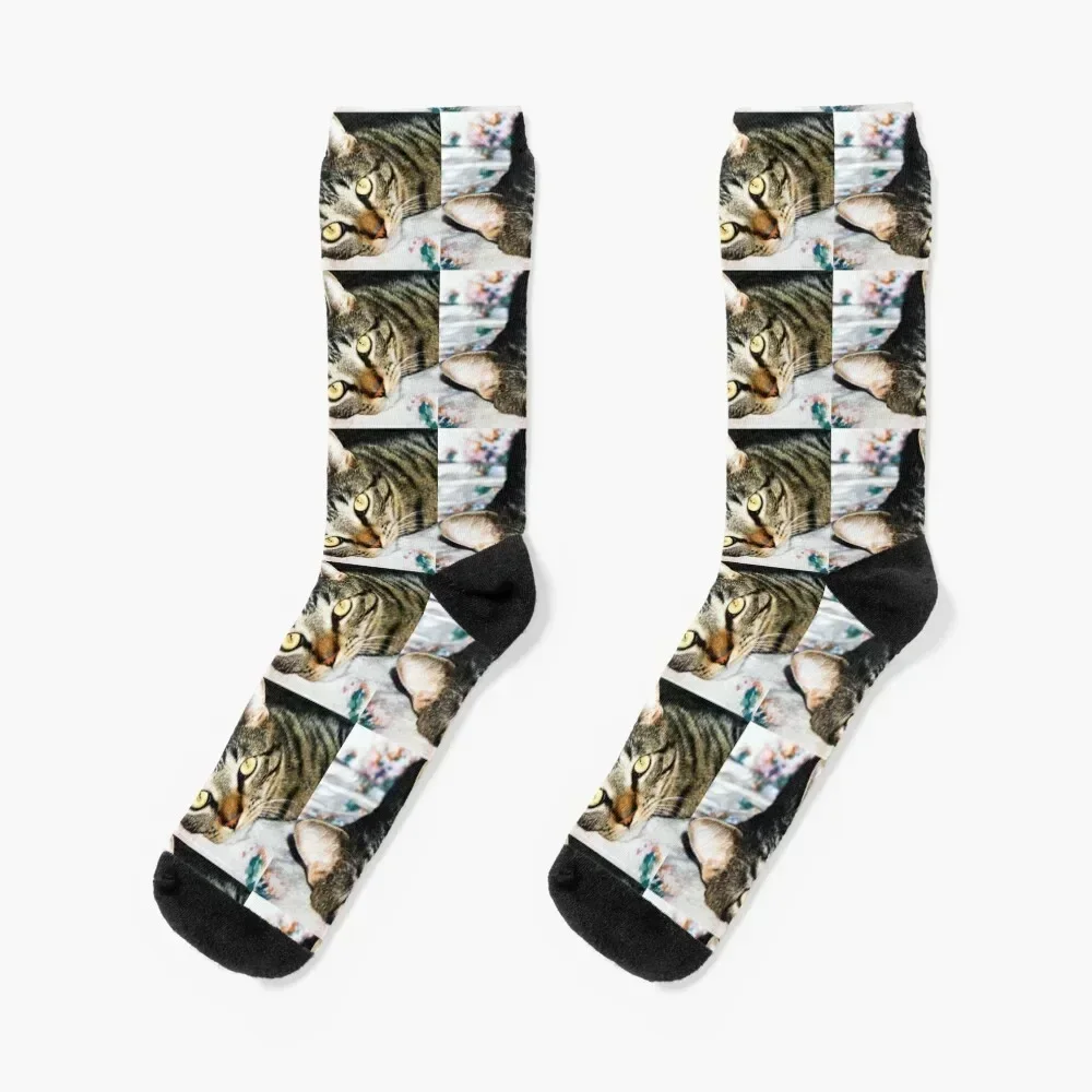 

Brown Tabby Cat Socks tennis Rugby floral valentine gift ideas Man Socks Women's