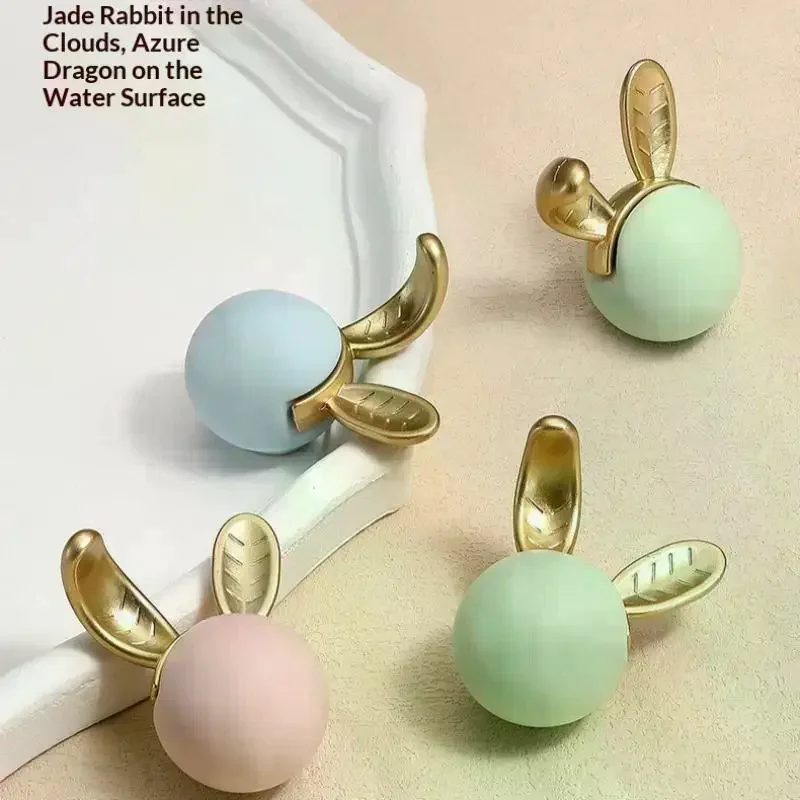 Creative Animal Car…