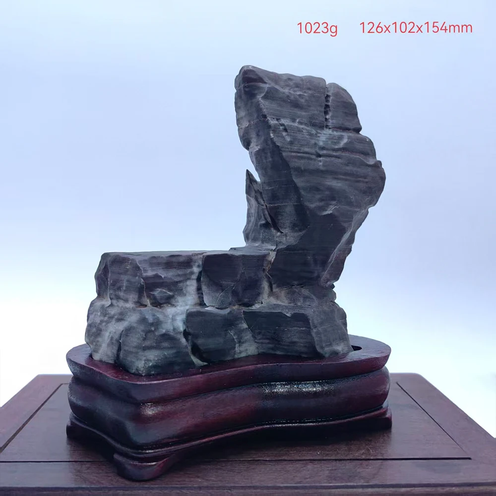 

1PC Decoration Home Room Decoration “Pelycosaurus” Natural Precision Mountain Asian Natural Stones Rock Reiki Cadeau Homme