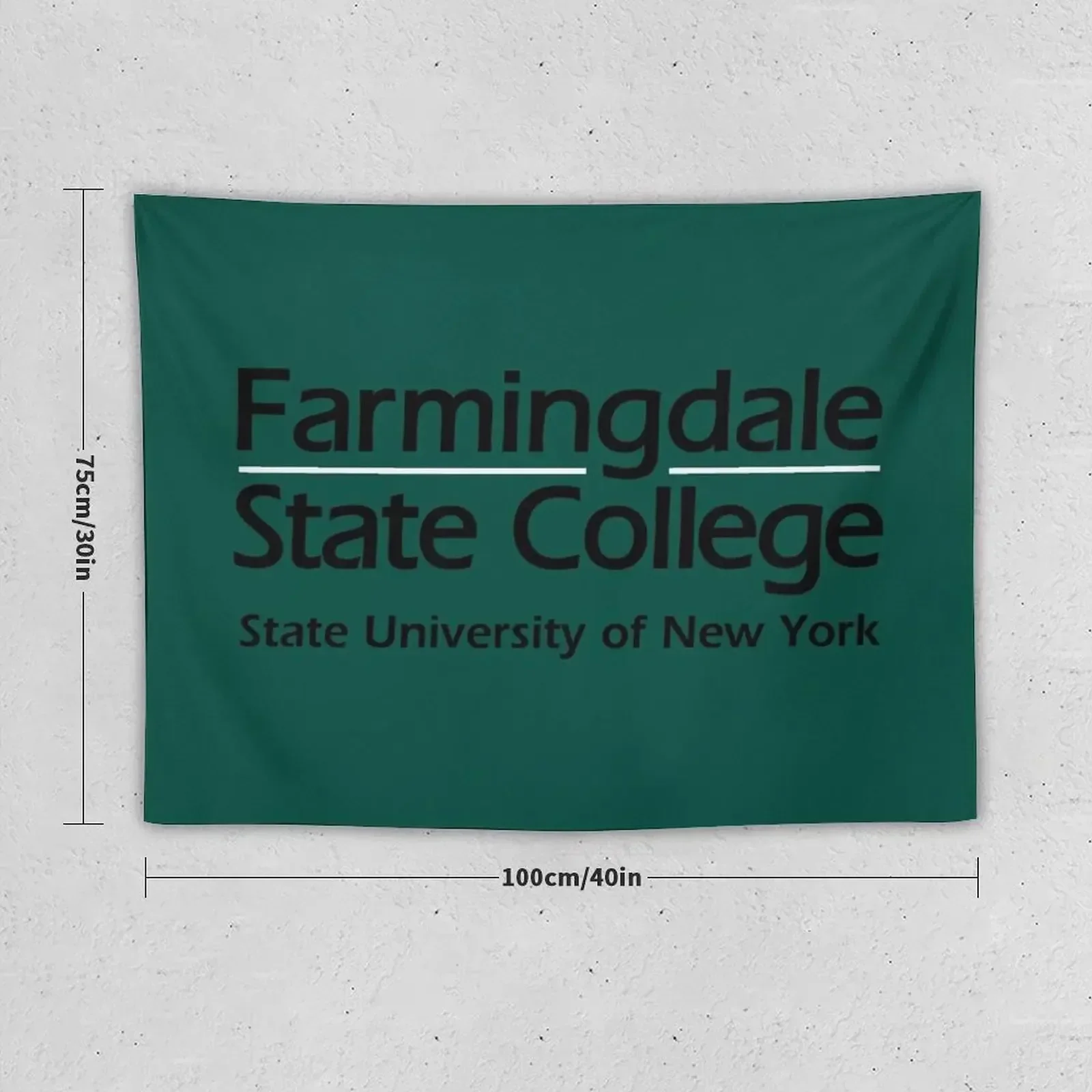 Farmingdale State College Tapestry Decor Home Decorative Paintings Tapestry