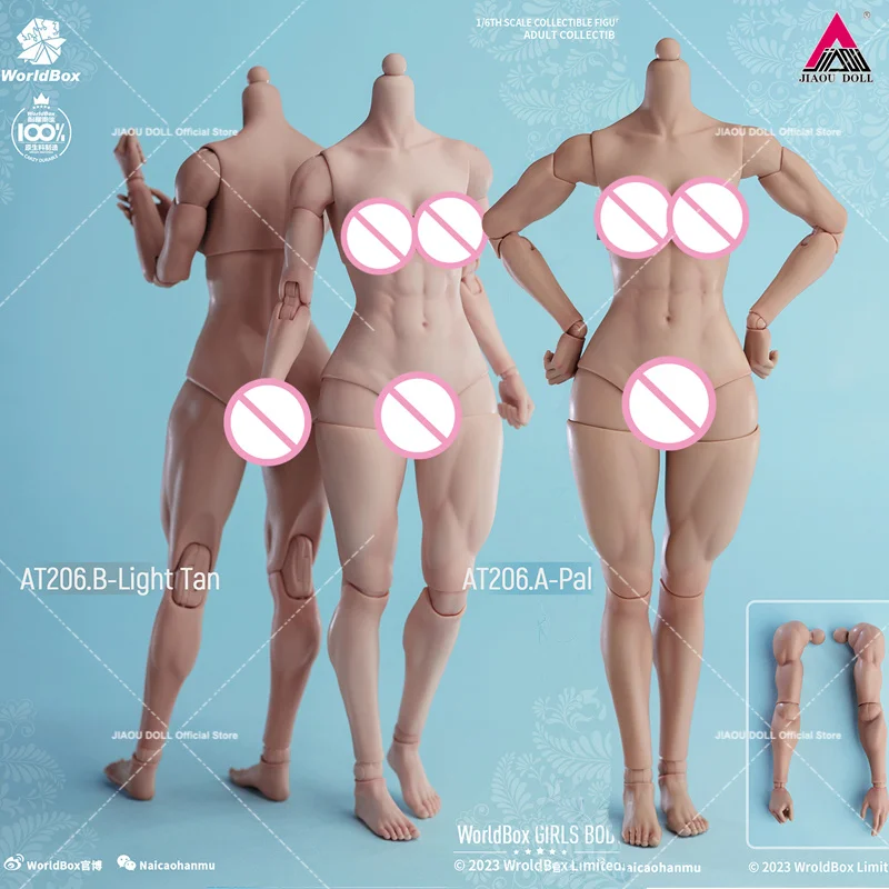 

2024 Q2 Worldbox AT206 1/6 Scale Female Muscle Joint Body Fat Leg 27cm Pale/Light Tan Skin Action Figure Model Replaceable Arms