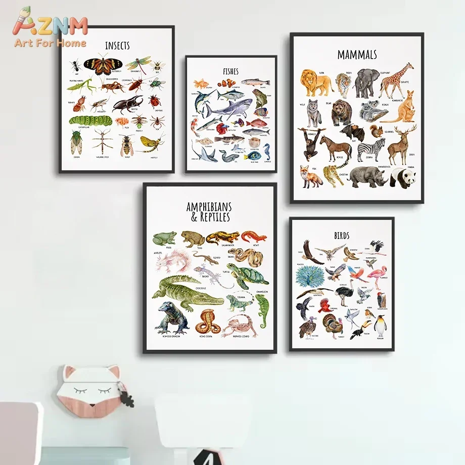 AZNM Watercolor Animal Kingdom Educational Canvas Wall Art, Mammals Birds Fishes Insects Reptiles Amphibians Biology Chart Print