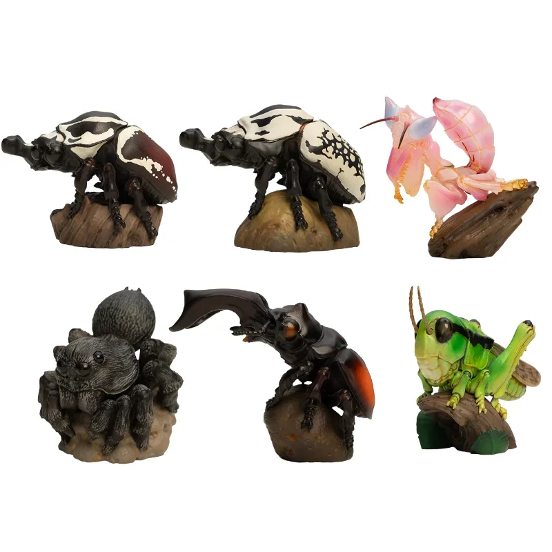 Original Animal Planet Aciton Figure Cute Kawaii insetti simulati Mantis Spider Beetle Anime Decor modelli in resina giocattoli regalo