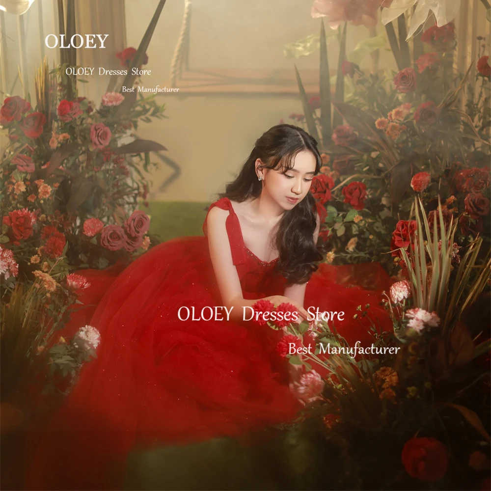 

OLOEY Exquisite Sparkly Red Wedding Party Dresses Photoshoot Spaghetti Straps Bridal Gowns Prom Gowns Beading Crystal Sweetheart