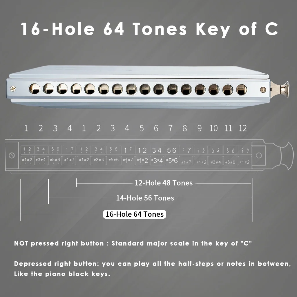 Mugig Swan Chromatic Harmonica 10/14/16 Holes 40/56/64 Tone Stainless Steel Cover With Precision Engineered Sliding For Beginner
