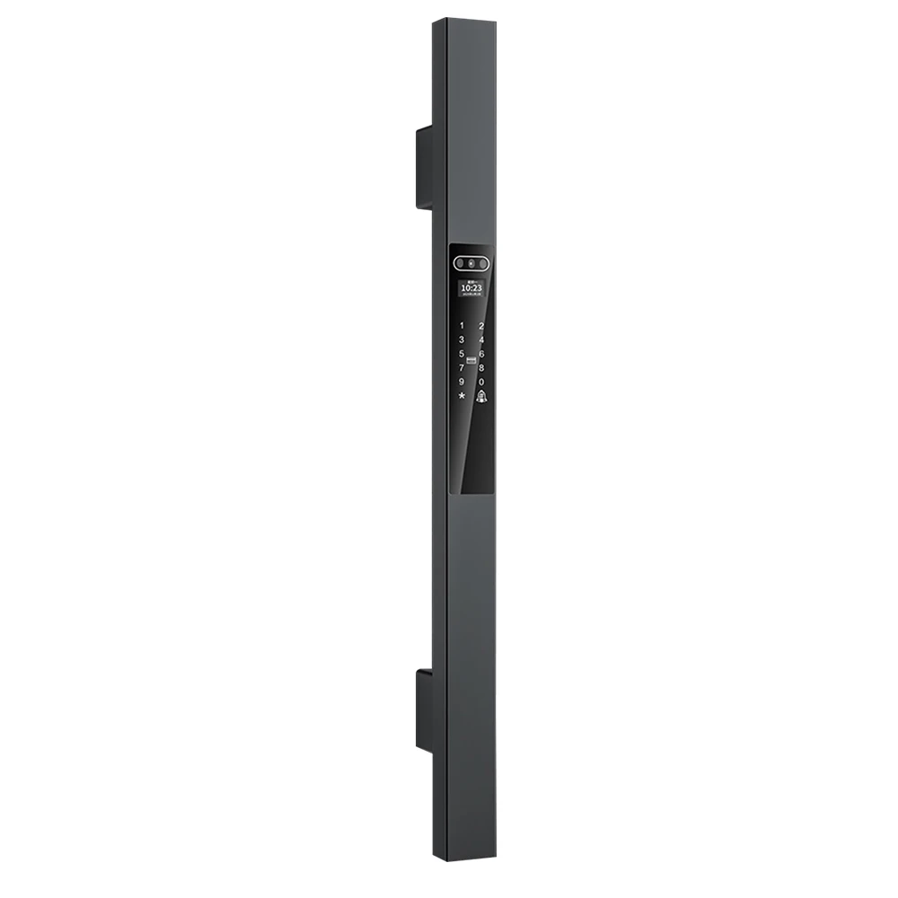Facial Recognition Wooden Doorstainless Steel Door Lock Fingerprint Password Key Wifi Smart Anti-theft Door Lock