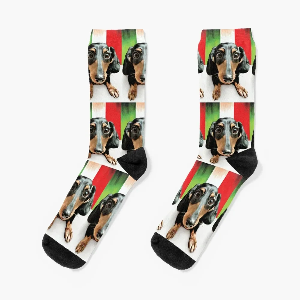 

Bella the Playful Dachshund - Pet Dog Commission 05 Socks set christmas gifts cycling heated Men Socks Luxury Brand Women's