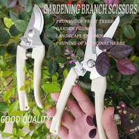 Ivory White Stainless Steel Garden Pruning Shears Fruit Tree Branch Cutter Flower Scissors for Gardening and Home Grafting