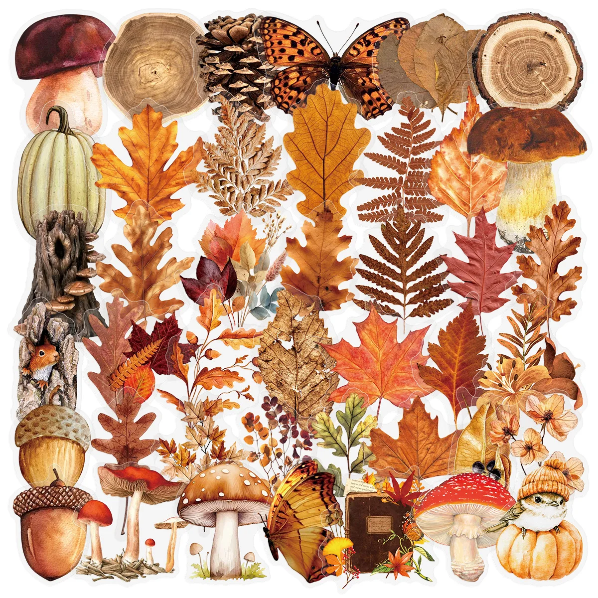 50 Pcs Literary Retro Maple Leaf Foliage Dry Flower Pet Transparent Waterproof Diy Journal Luggage Stickers