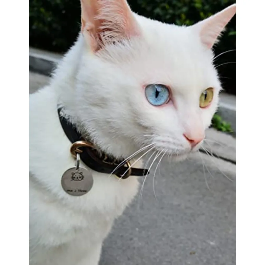 1 2 Ih Split Key RingsStainless Steel Dogs Cats ID Tag Mini Thick Keyrings 16mm Small Key Chain Ring for Dogs Tag Craft Car Key