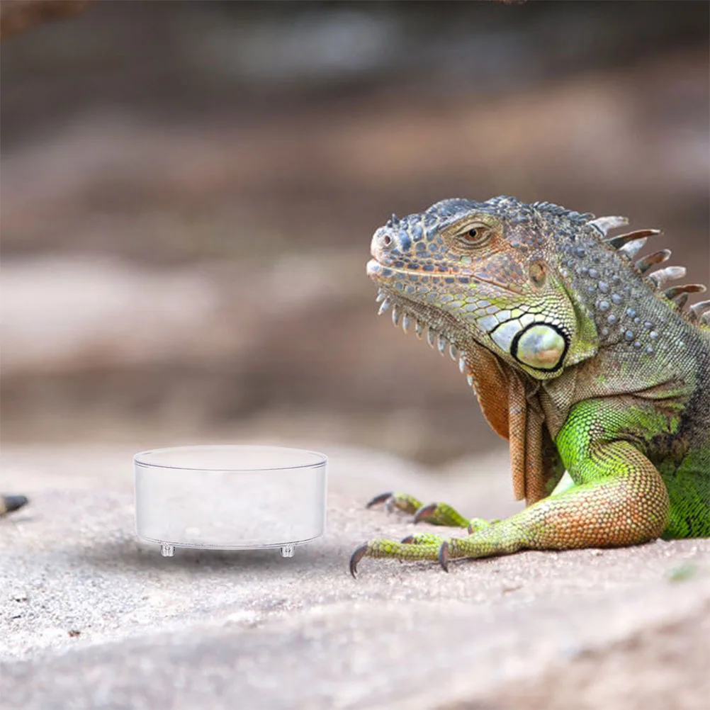 

10pcs Reptile Food Bowl Acrylic Multi Function Water Container Landscaping Cup Reusable Pet Dish Transparent Household