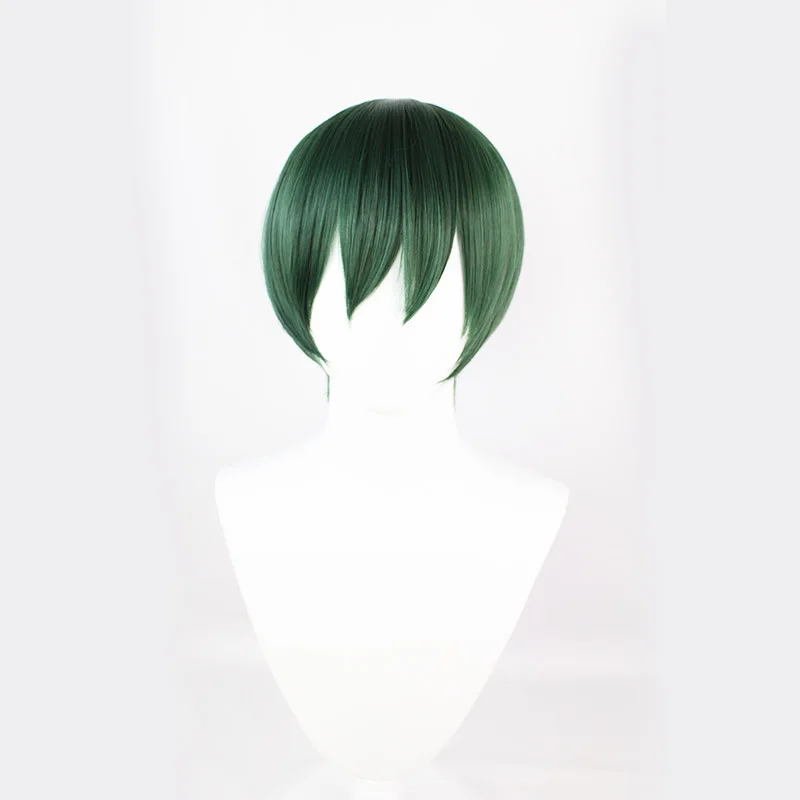 2D Anime Cosplay Wig, Flexible & Easy To Shape for Manga Exhibition Role Playing