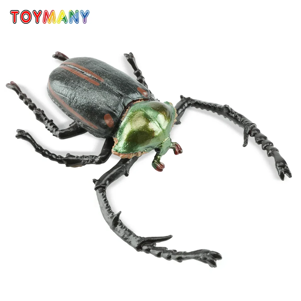 

Toymany Simulation Janson’s Long-armed Scarab Beetle Animal Model Toy Mini Figures Dolls Action Figurines Toys Children Gift