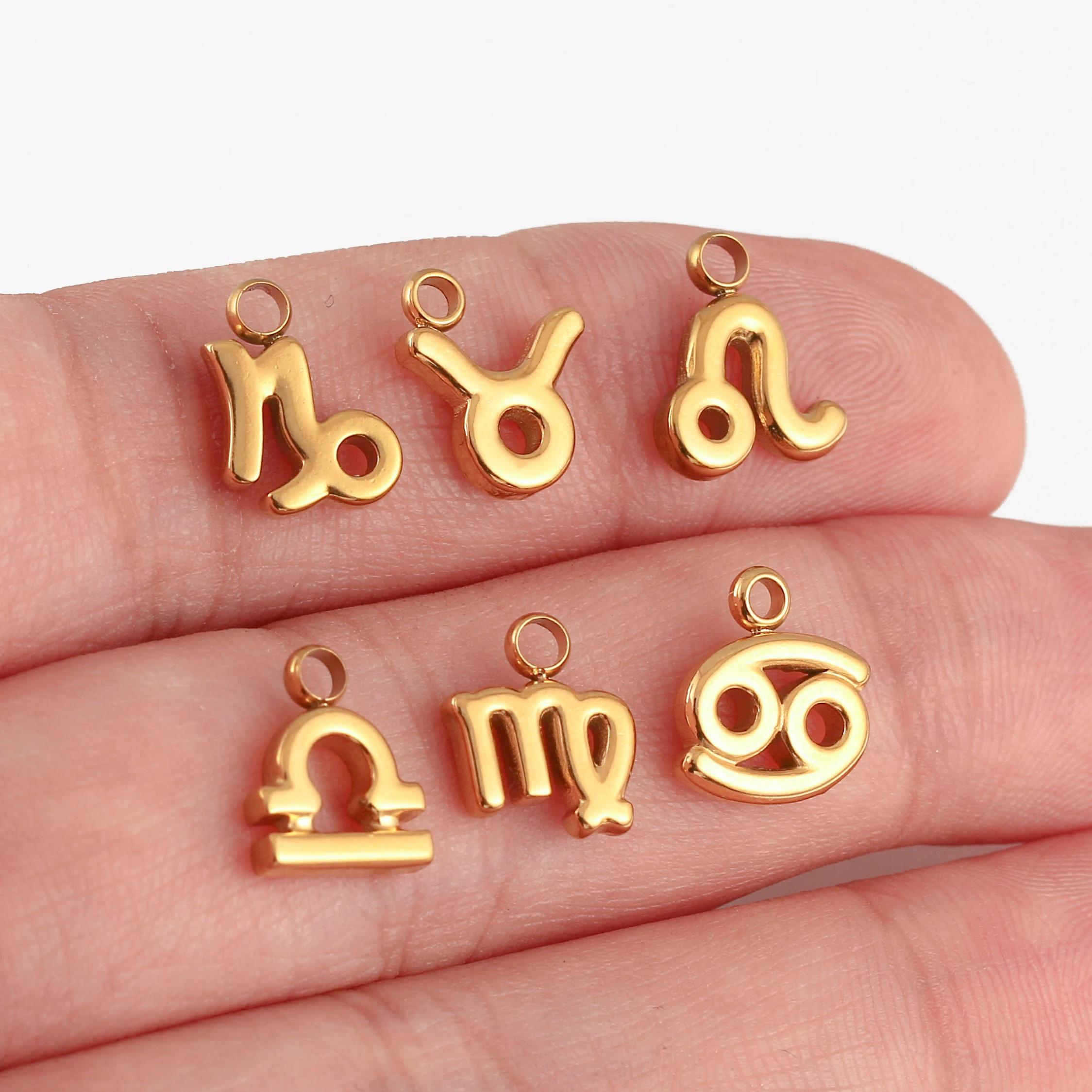 Zodiac Sign Charms Stainless Steel Constellations 12 Astrology Leo/Gemini/Taurus Pendant DIY Bracelets Necklaces Jewelry Making