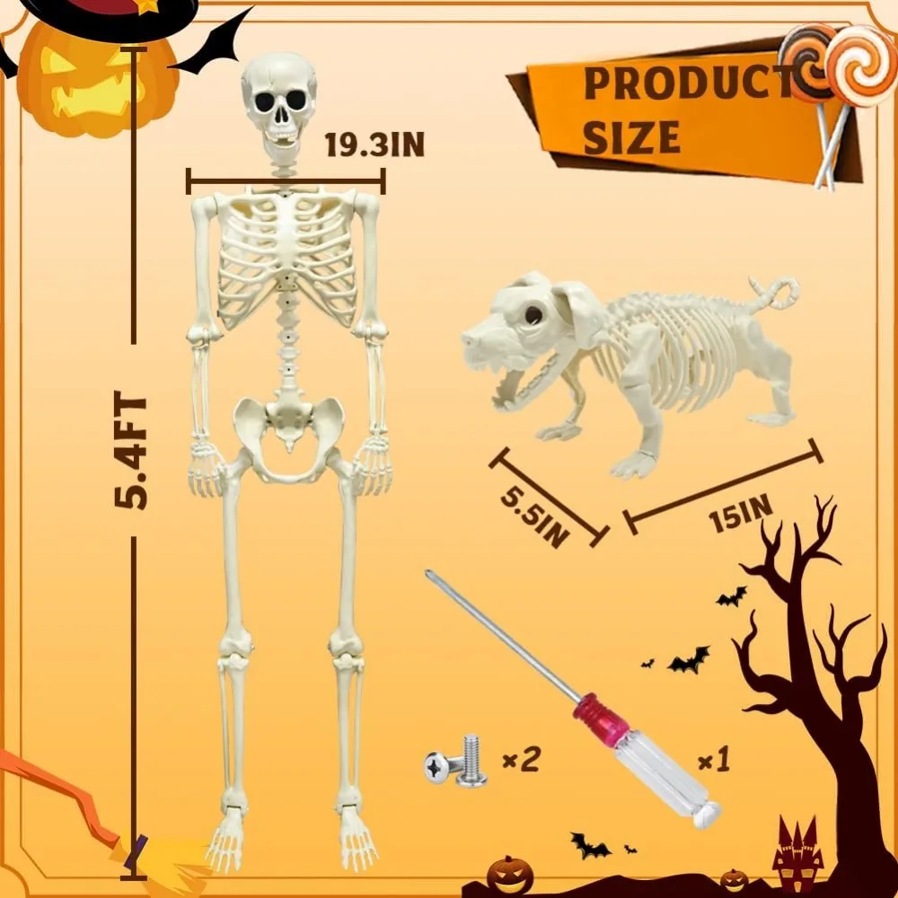 5,4 Ft Skelet Halloween Decoratie, Leven Op Ware Grootte Skelet Met Hondenskelet, Verstelbare Menselijke Skeletten Realistische Plastic Botten