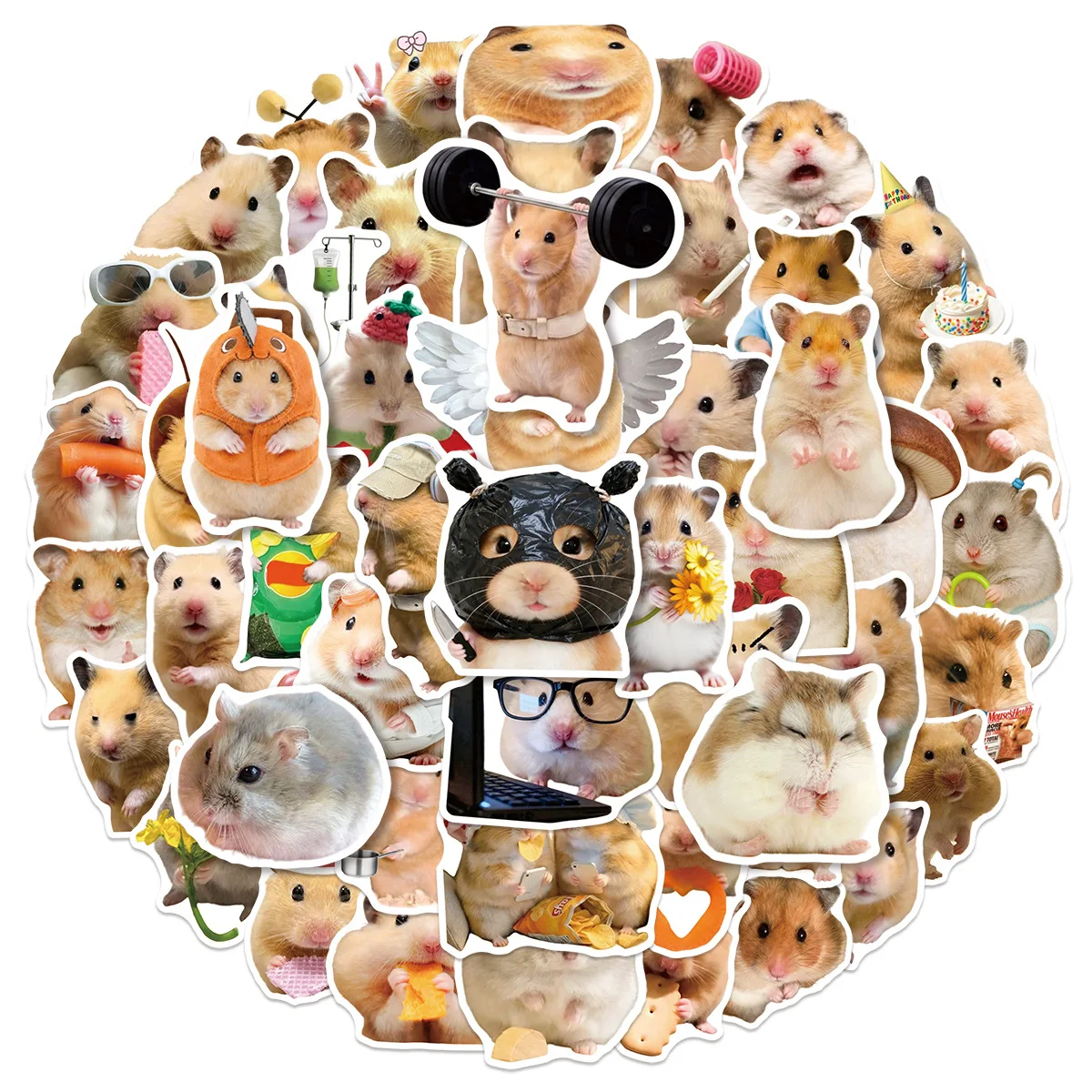 50PCS Cute Hamster Funny Meme Sticker Creative Decoration Mobile Phone Case Notebook Water Cup Waterproof Graffiti Toys Gifts