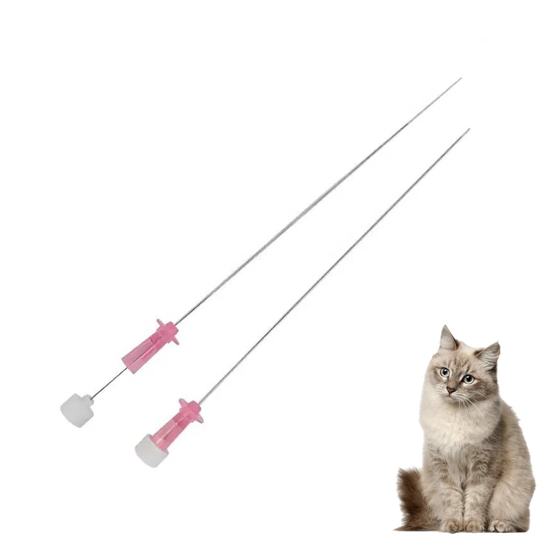 Medical Disposable Silicone Animal Urinary Catheter for Dogs and Cats Veterinary Use in Animal Surgery