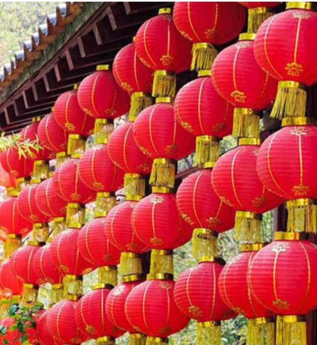 1PCS Chinese Lantern Red Traditional Hanging Lamp New Year Spring Festival Decoration