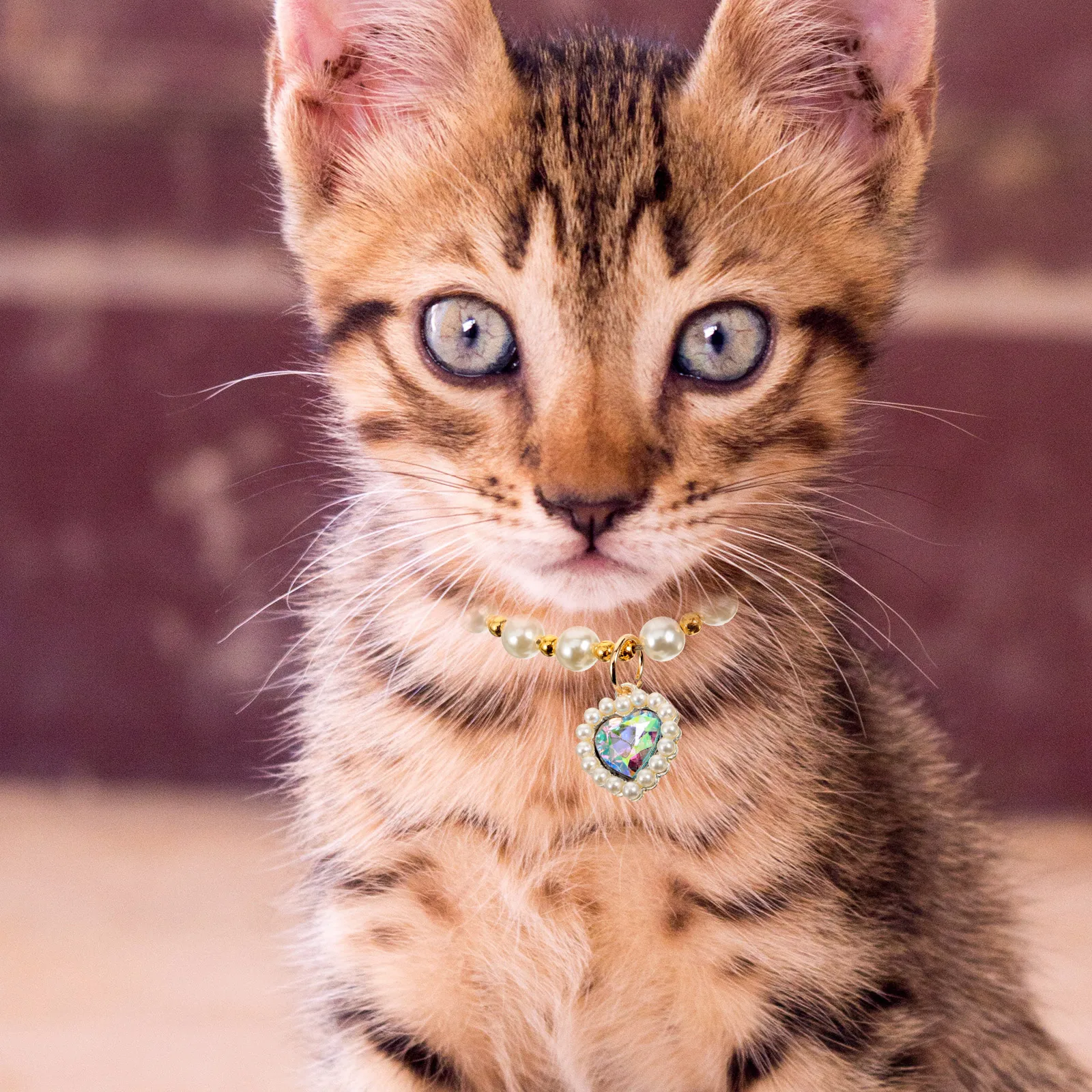 

Pearl Necklace Adjustable Cat Collar Small Animal Jewelry Blue Party Pet Accessory Decorative Necklace Dog Collar Pearl