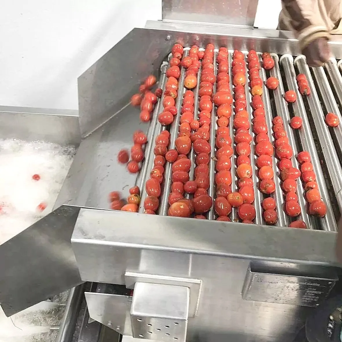FOODLINE Beginner Fast Food Shop Tomato Pulper One Key Operation Adjustable Pulping Speed Small Business Unit